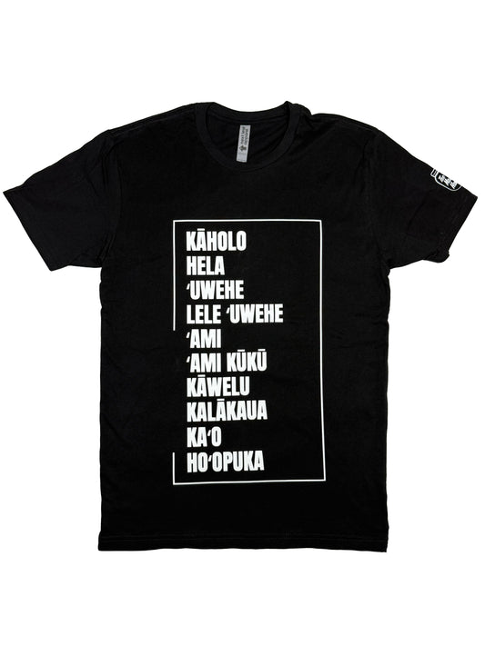 Hula Basics (Adult Unisex)